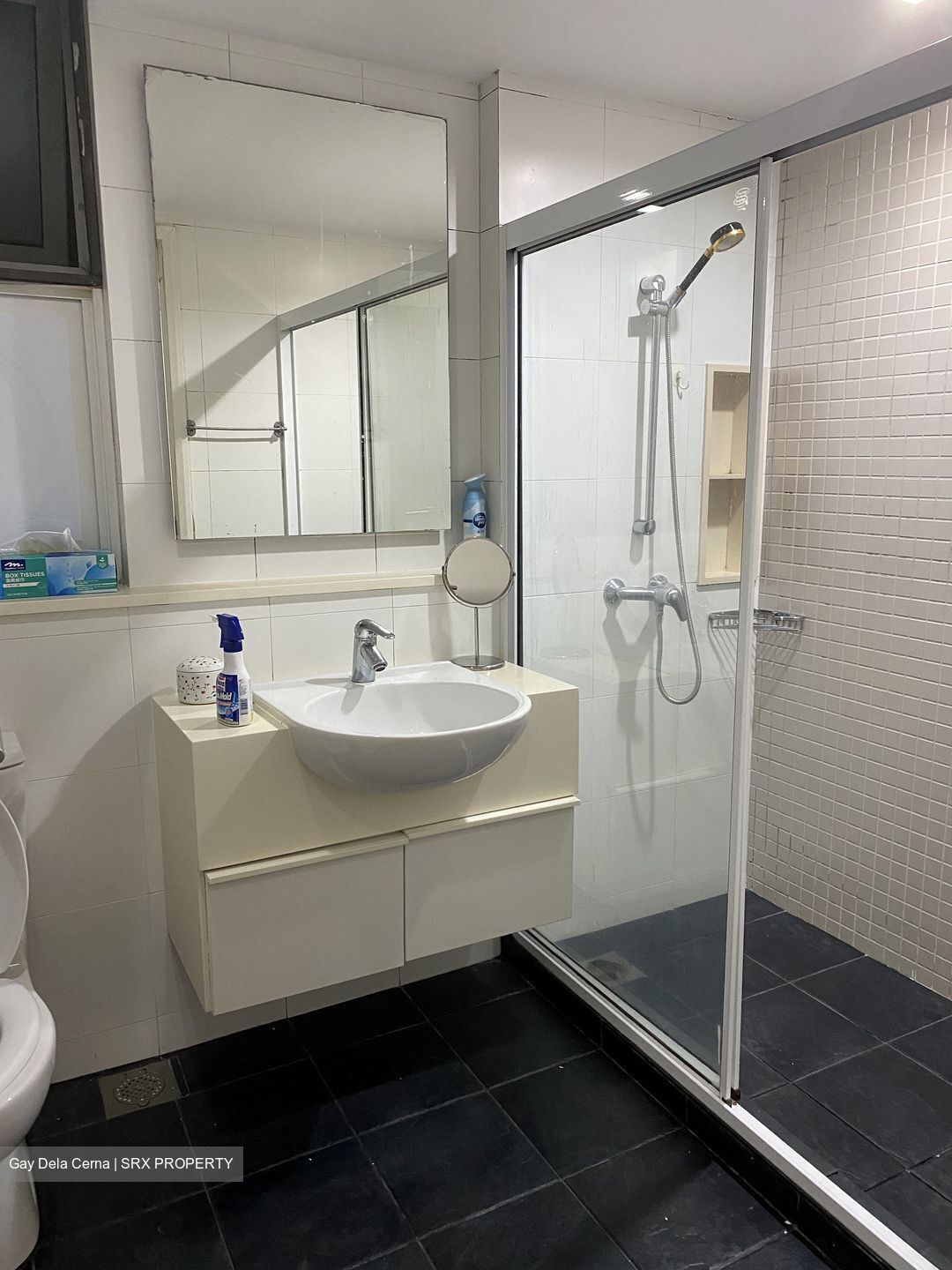 The Esparis (D18), Condominium #436025921